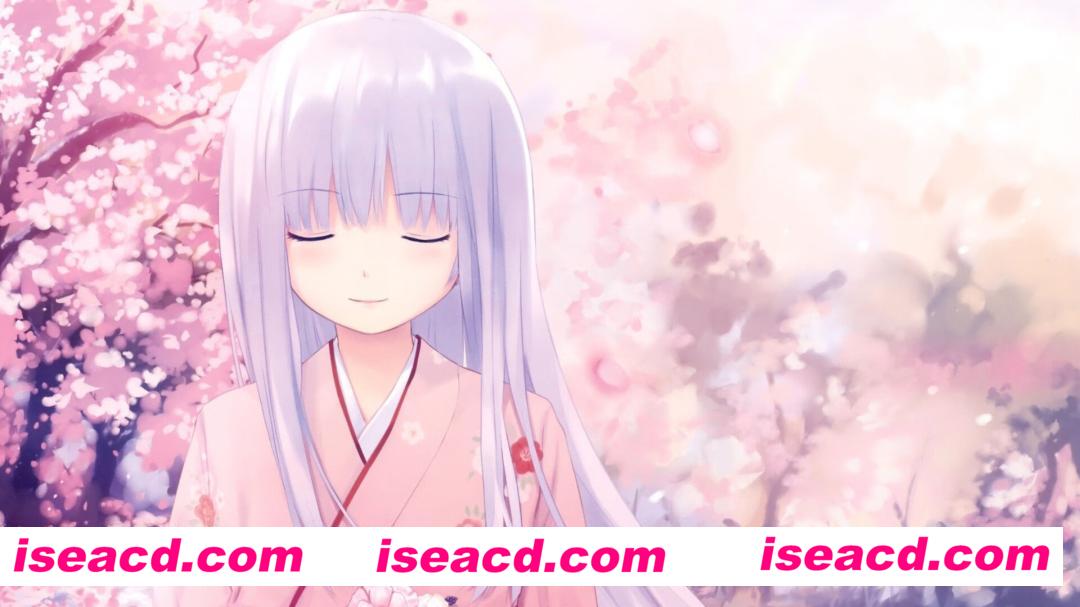 【教程】战双 V2.20 单机版 使用教程