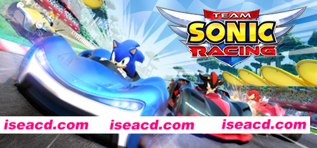 组队索尼克赛车/Team Sonic Racing