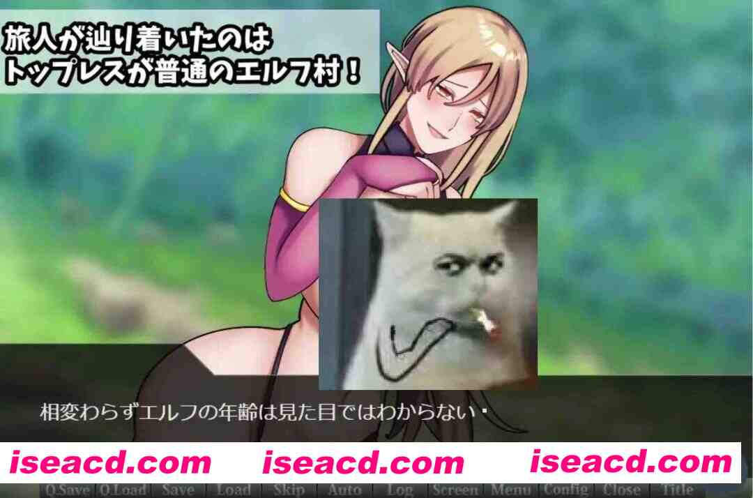 [日式RPG/AI汉化] 无上装精灵姐姐的村庄/トップレスエルフおねえさんのむら AI汉化版 [600M/新作]