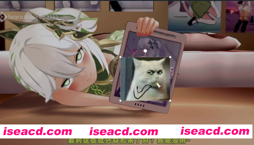 [MMD/中文/步兵] 2113 9月28作品：原神媚黑NTR~媚黑小草神纳西妲  [1V] [300M/CV]