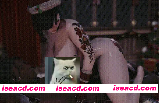 [3D动画/步兵] 3DErotica 1月30媚黑NTR 水无月流歌 难忘的夜晚 有CV 17分 [500M/CV]